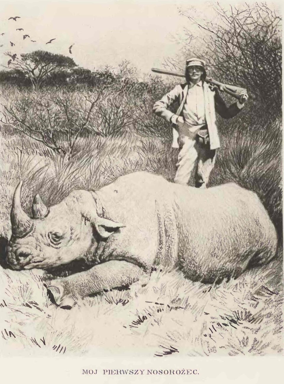 Potocki in Somaliland