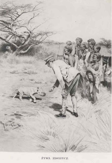 Baby rhino in Somaliland