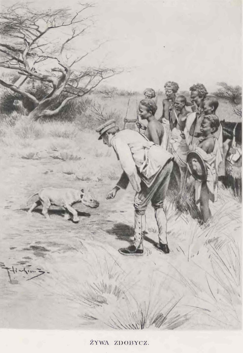 Baby rhino in Somaliland