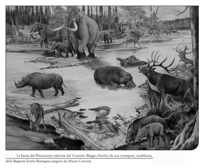 The palaeoenvironment of Crostolo river (Reggio Emilia, N-Italy)