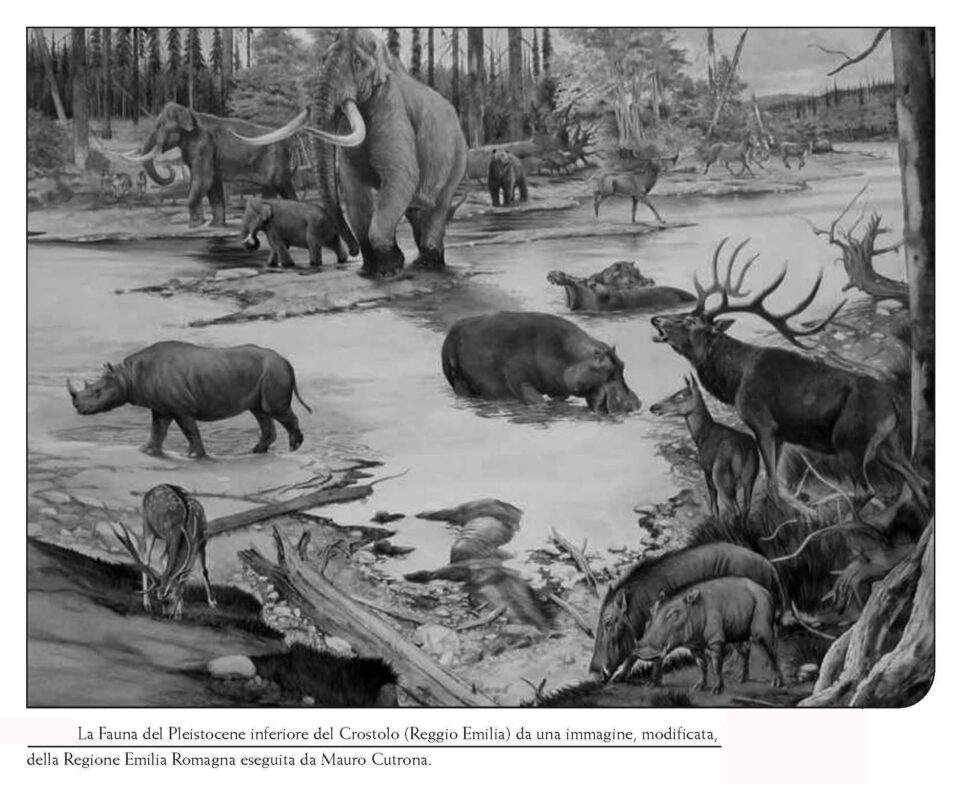 The palaeoenvironment of Crostolo river (Reggio Emilia, N-Italy)