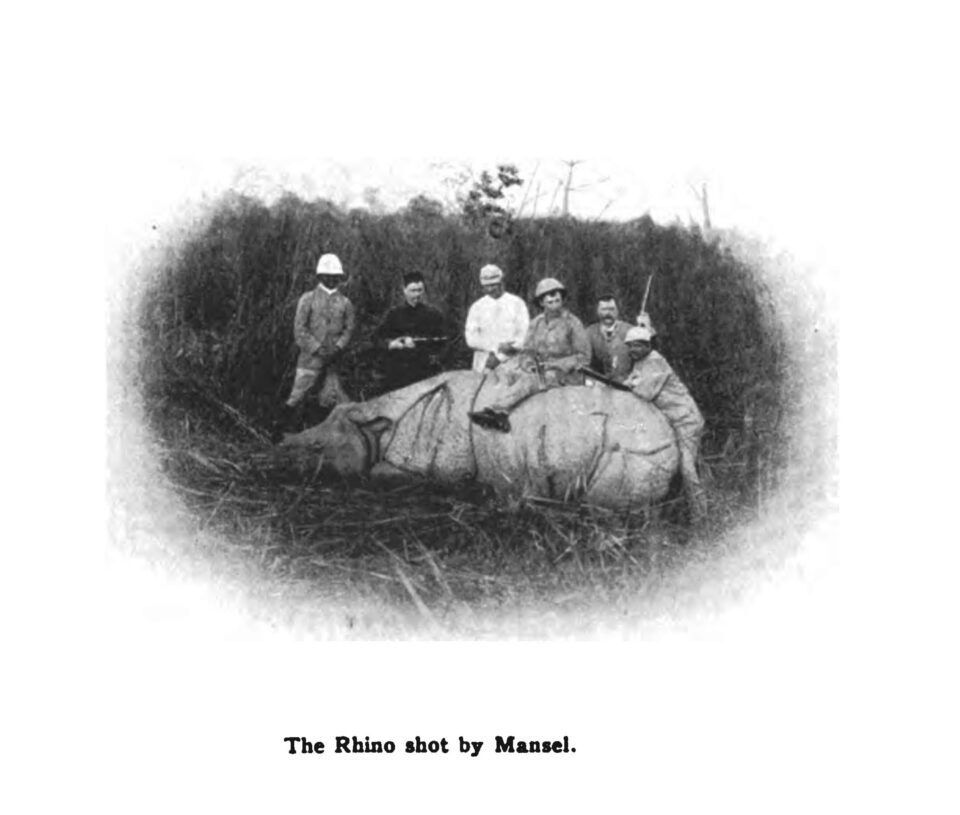 Mansel’s rhino in Cooch Behar