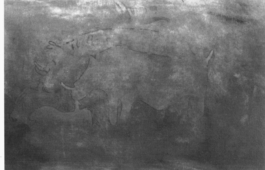 “The Big Rhinoceroses” at Amman Sammedni (Libya)