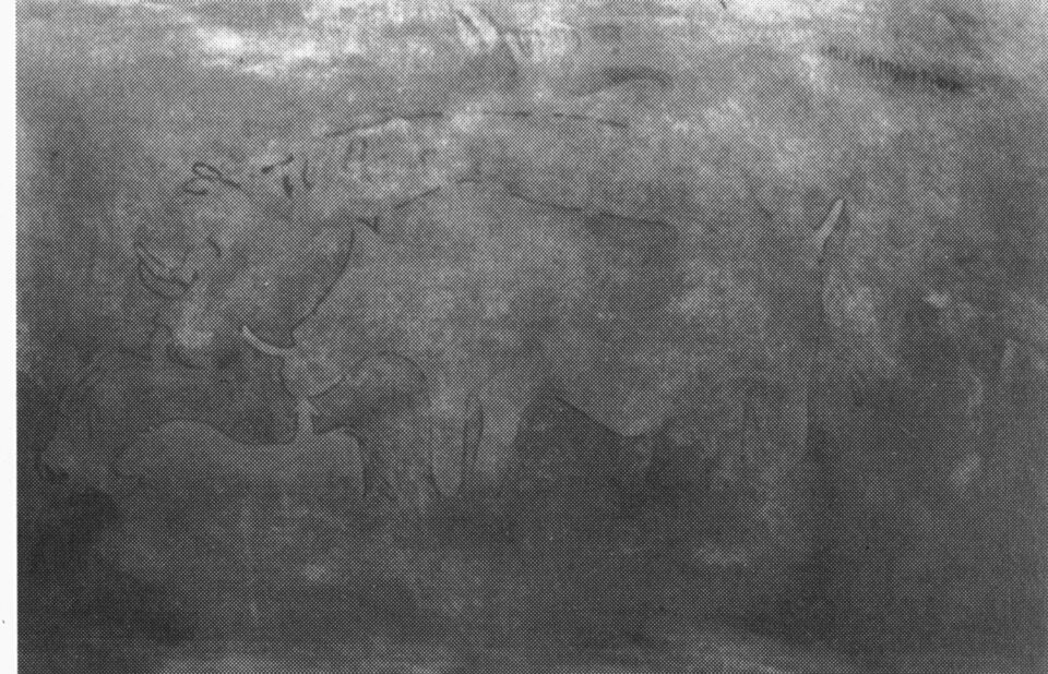 “The Big Rhinoceroses” at Amman Sammedni (Libya)