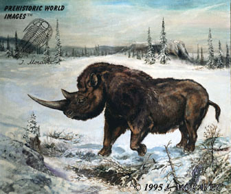 Coelodonta antiquitatis in Ice Age (by J. Moravec)