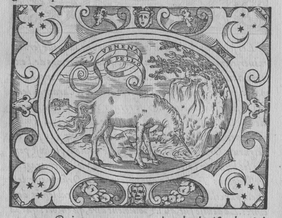 The unicorn purifies water