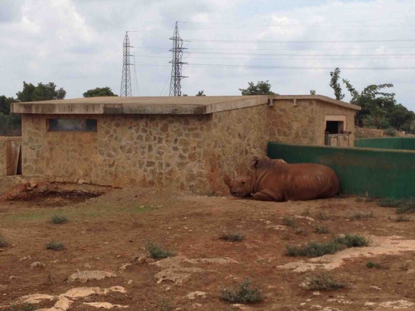 Sa Coma, Mallorca 2013