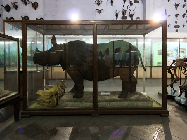 Kolkata museum