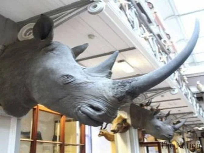 Dublin Museum