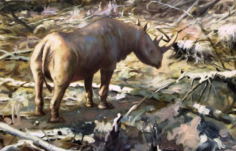 Stephanorhinus kirchbergensis (Jäger) reconstruction