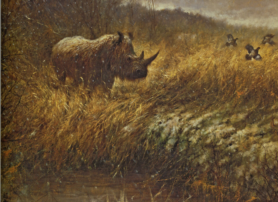 Coelodonta antiquitatis (Blum.) palaeoenvironmental reconstruction