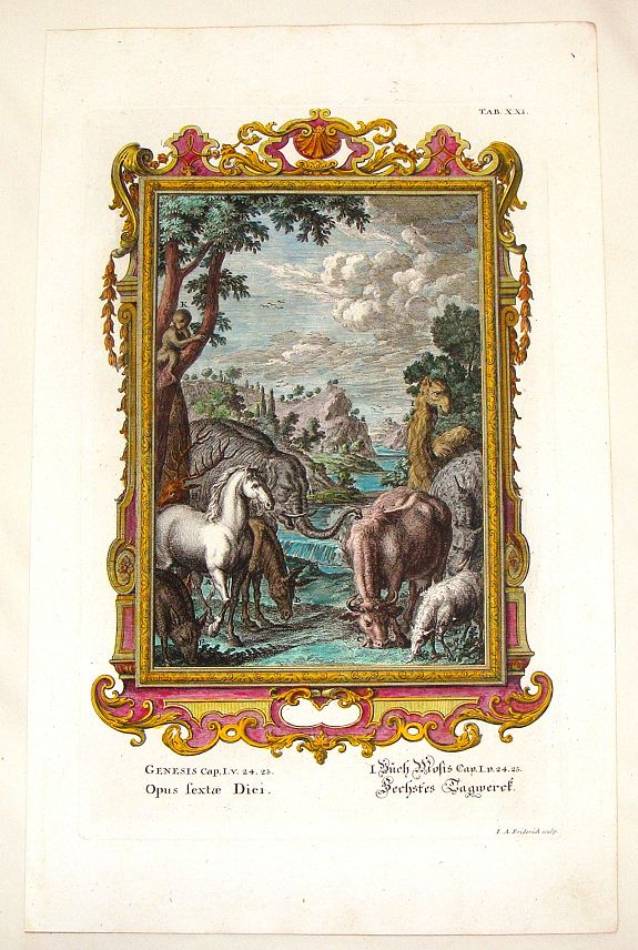 God creates the animals