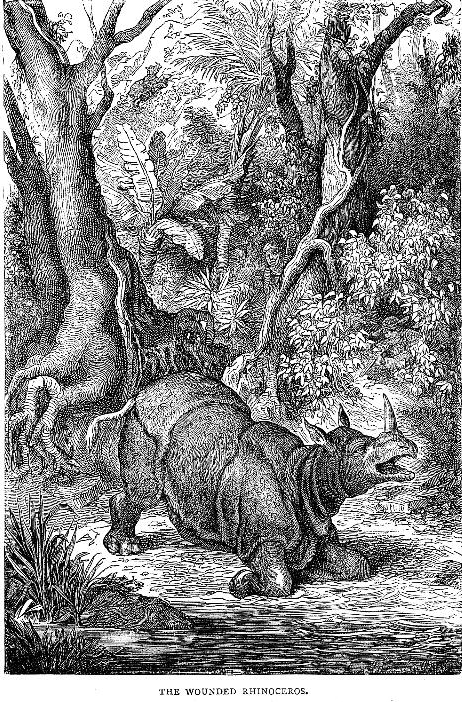 Pictorial Cabinet 1878