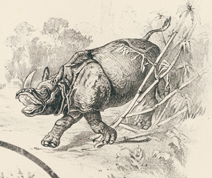 Barnum Menagerie pamphlet