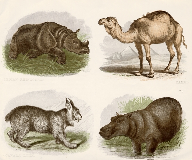 Christian Knowledge 1870