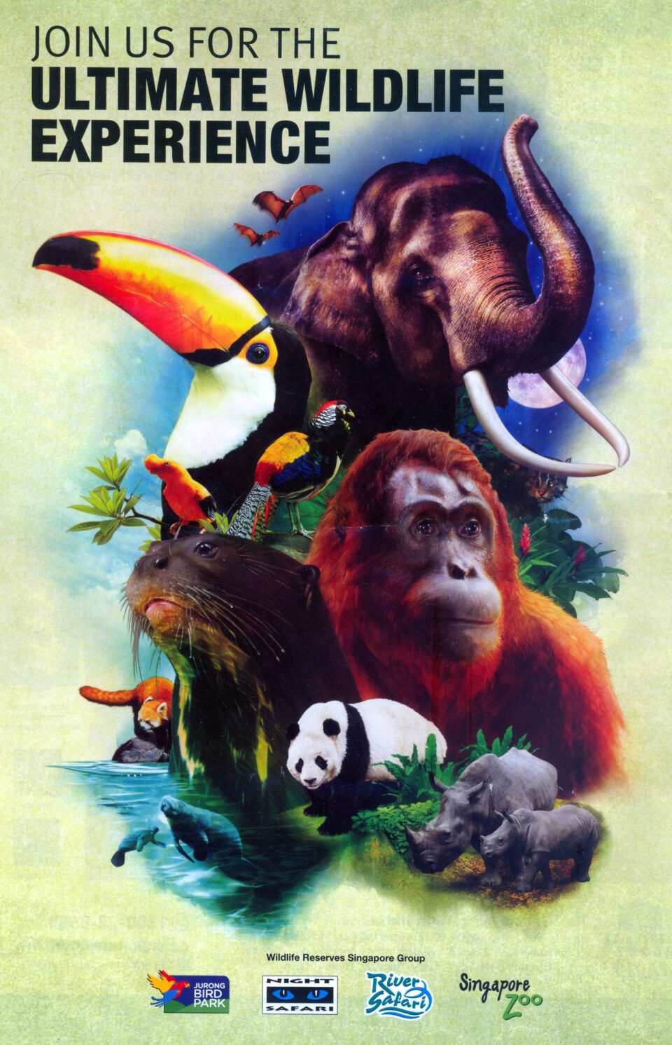 Join us for the ultimate wildlife experience