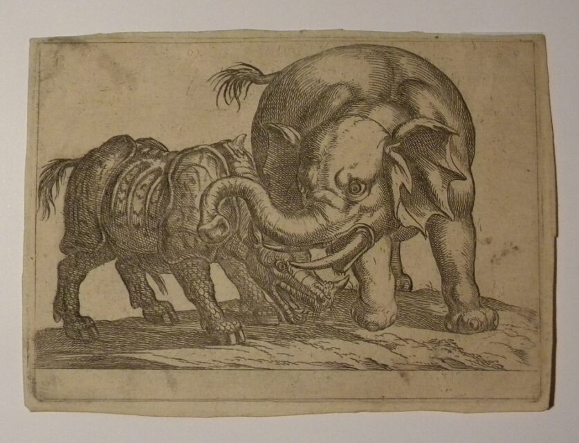 Tempesta-Animals in Combat series