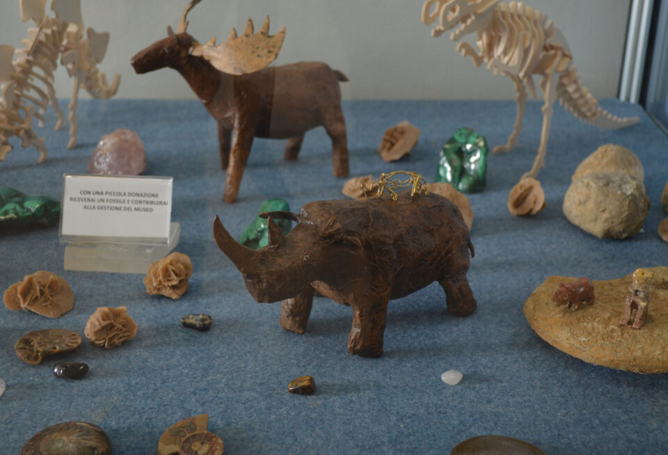 Newspaperly rhinoceros