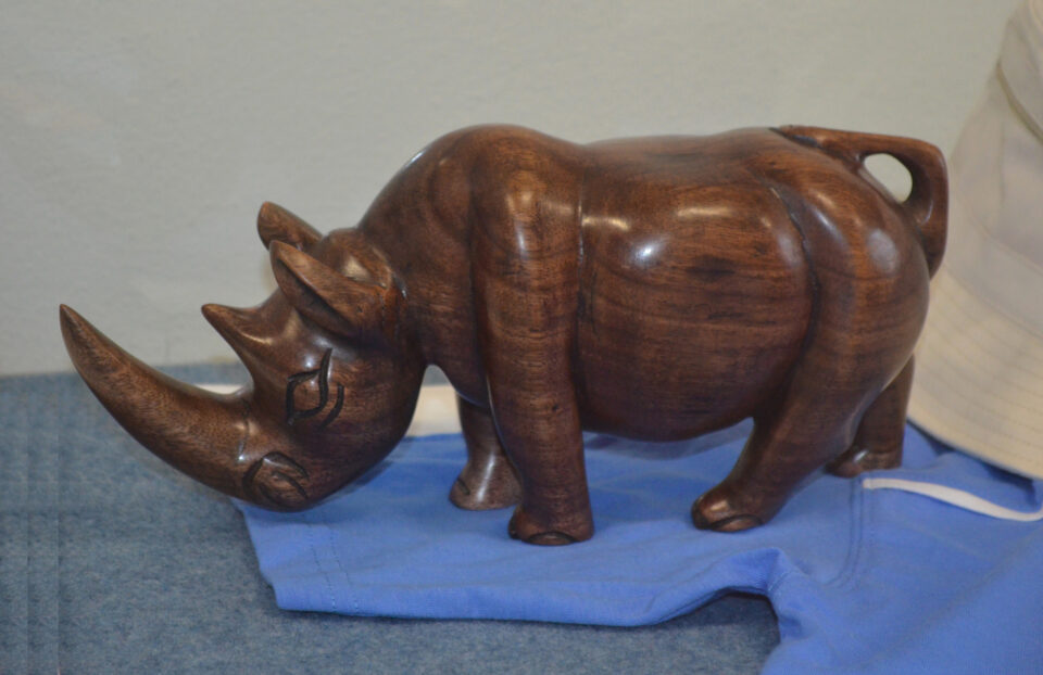 African woody rhinoceros