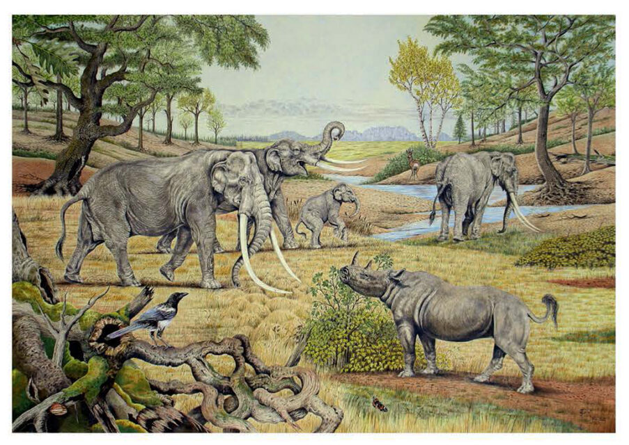 S. kirchbergensis reconstruction attempt in a Last Interglacial landscape