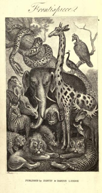 Bingley 1849 frontispiece