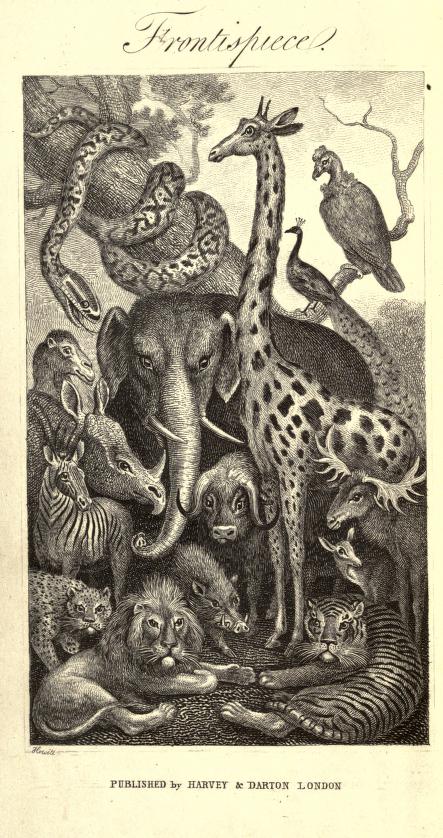 Bingley 1849 frontispiece