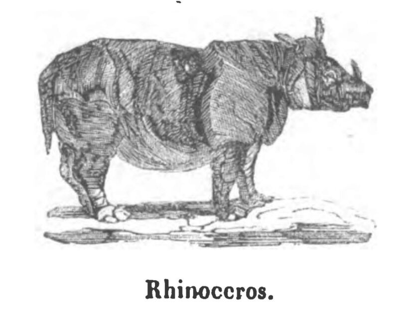 Nederlandsch Prentenboek 1847