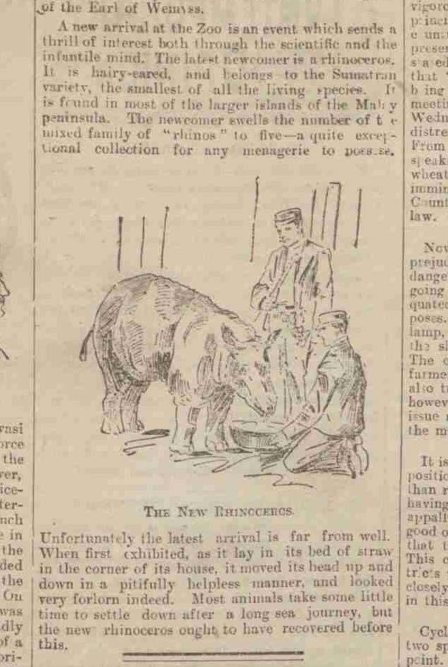 London 1898 Sumatran