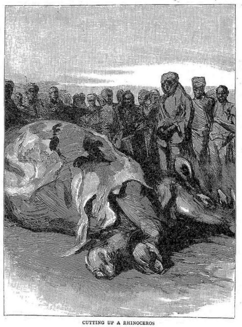 Cutting up a rhinoceros