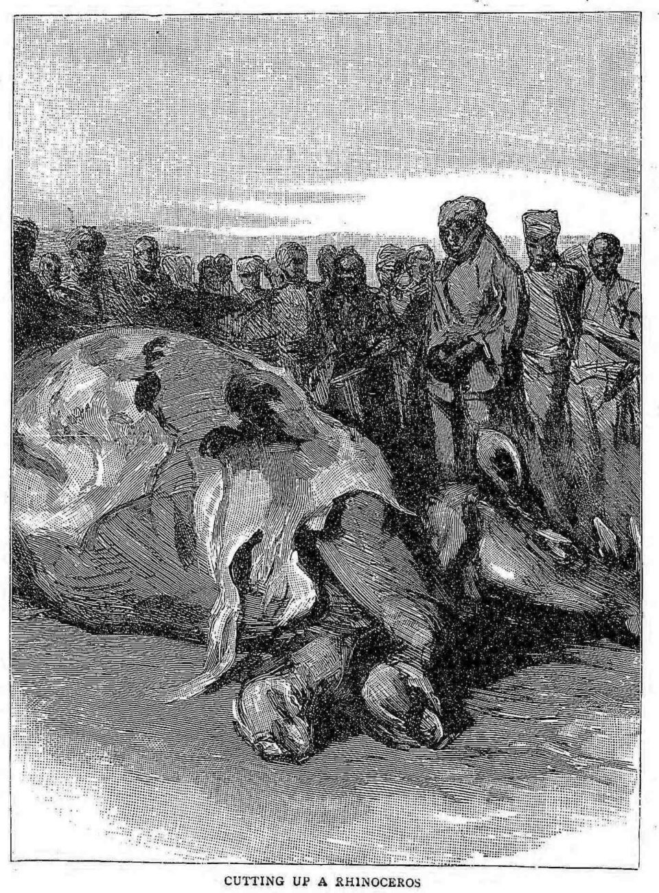 Cutting up a rhinoceros