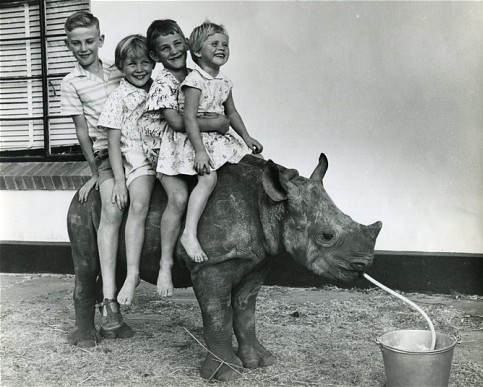 Condy’s rhino ride