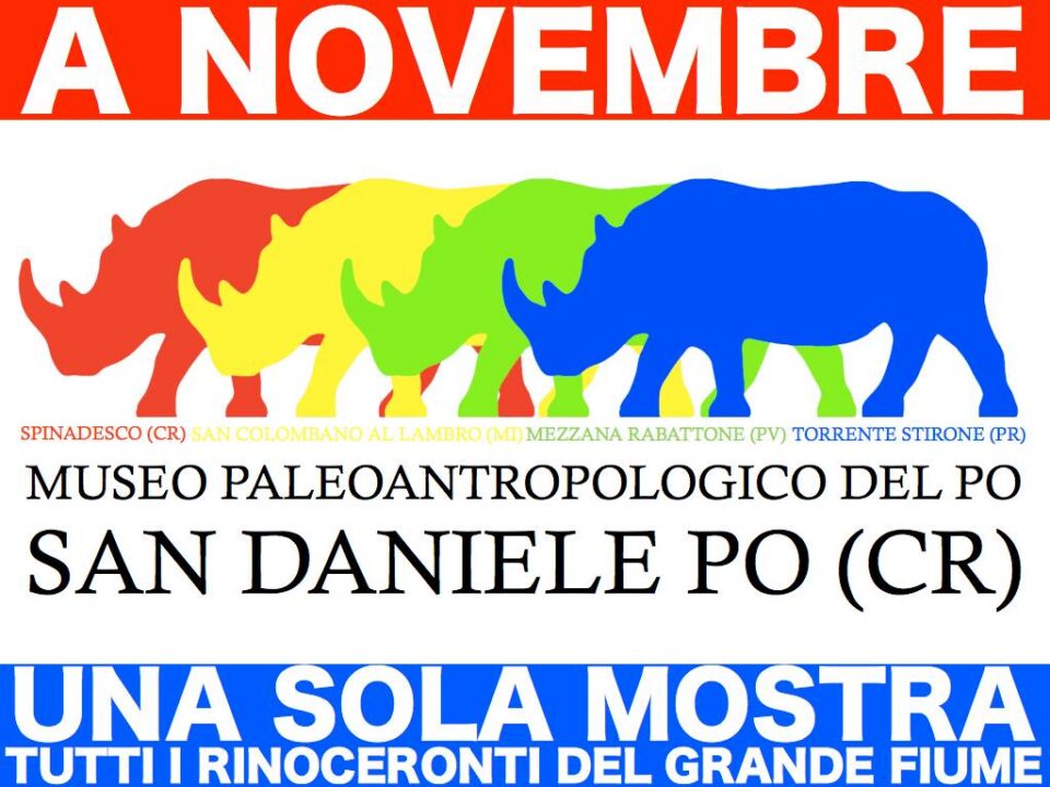 Una sola mostra, tutti i rinoceronti del grande fiume