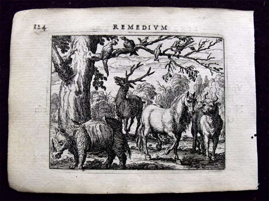 Linguae Vitia et Remedia 1631