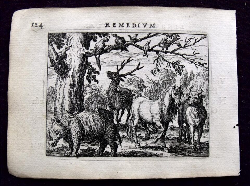 Linguae Vitia et Remedia 1631