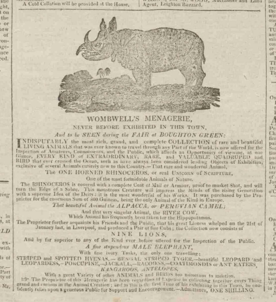 Wombwell in Northampton