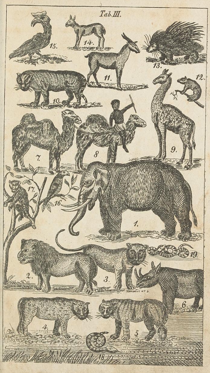 Kleine Naturhistoriker 1825