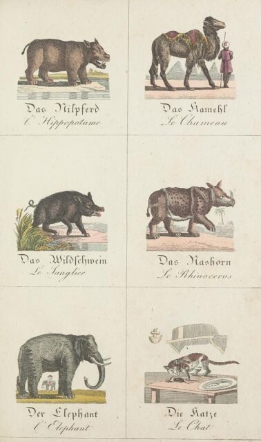 Kleine Naturgeschichte 1828