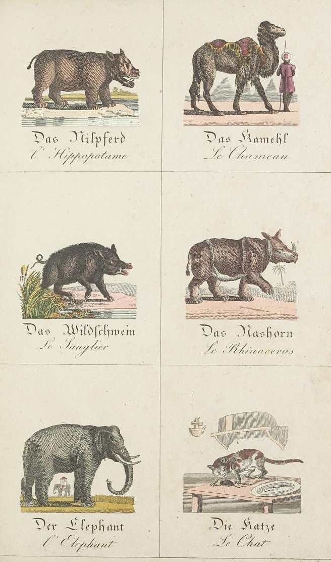 Kleine Naturgeschichte 1828