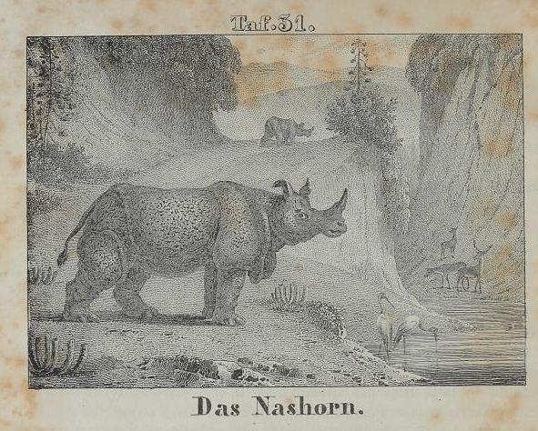 Gailer Wunderbuch 1842