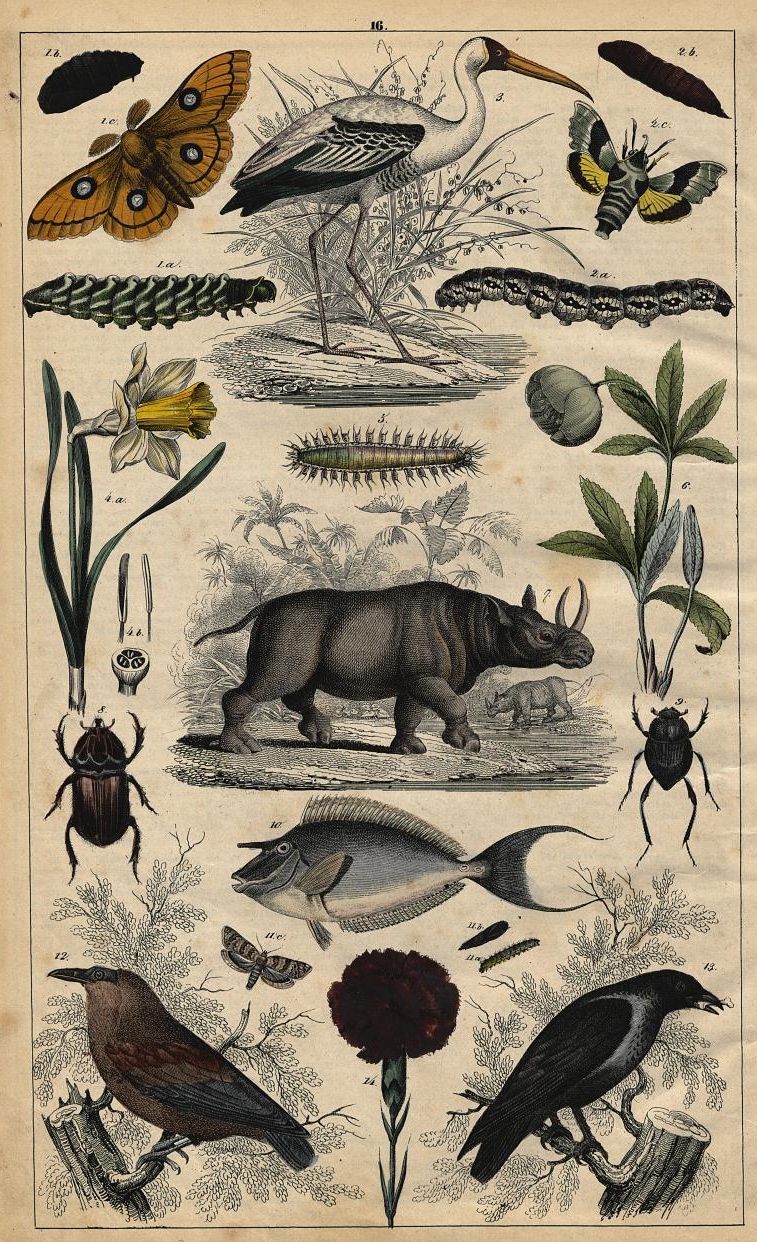 Neuestes Bilderbuch 1848