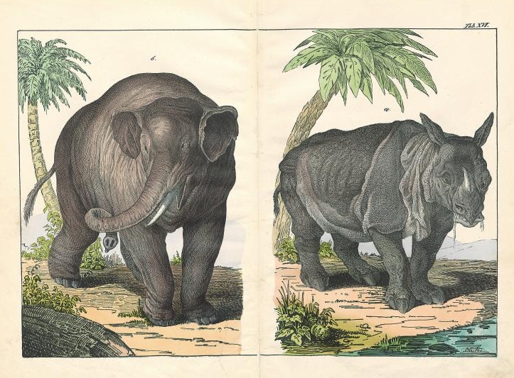 Schubert Naturgeschichte 1860