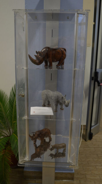 Rhinoceroses in the S. Daniele Po Palaeontological Museum (Italy)