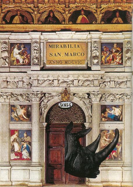 Gigi Bon: Rhinoceros