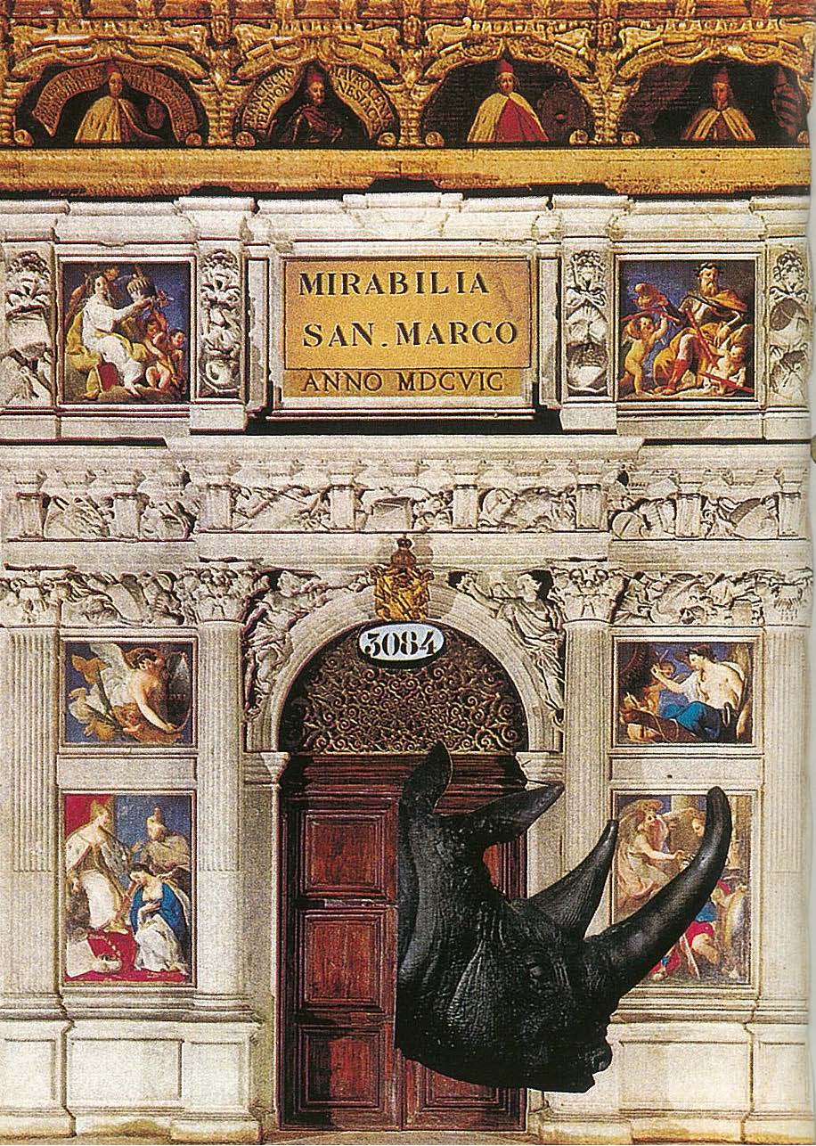 Gigi Bon: Rhinoceros