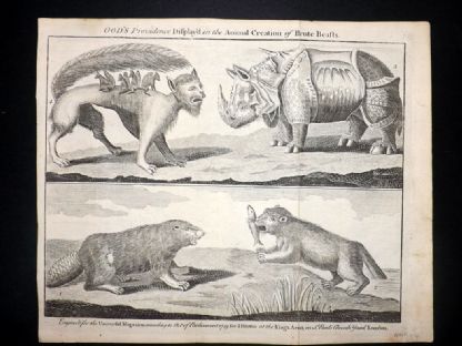 1749 image inspired by Schott