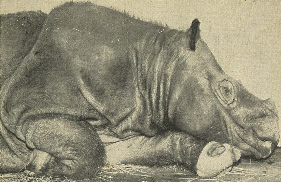 Copenhagen’s Subur