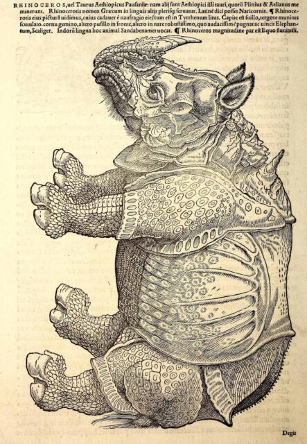 Gessner Icones (1560)