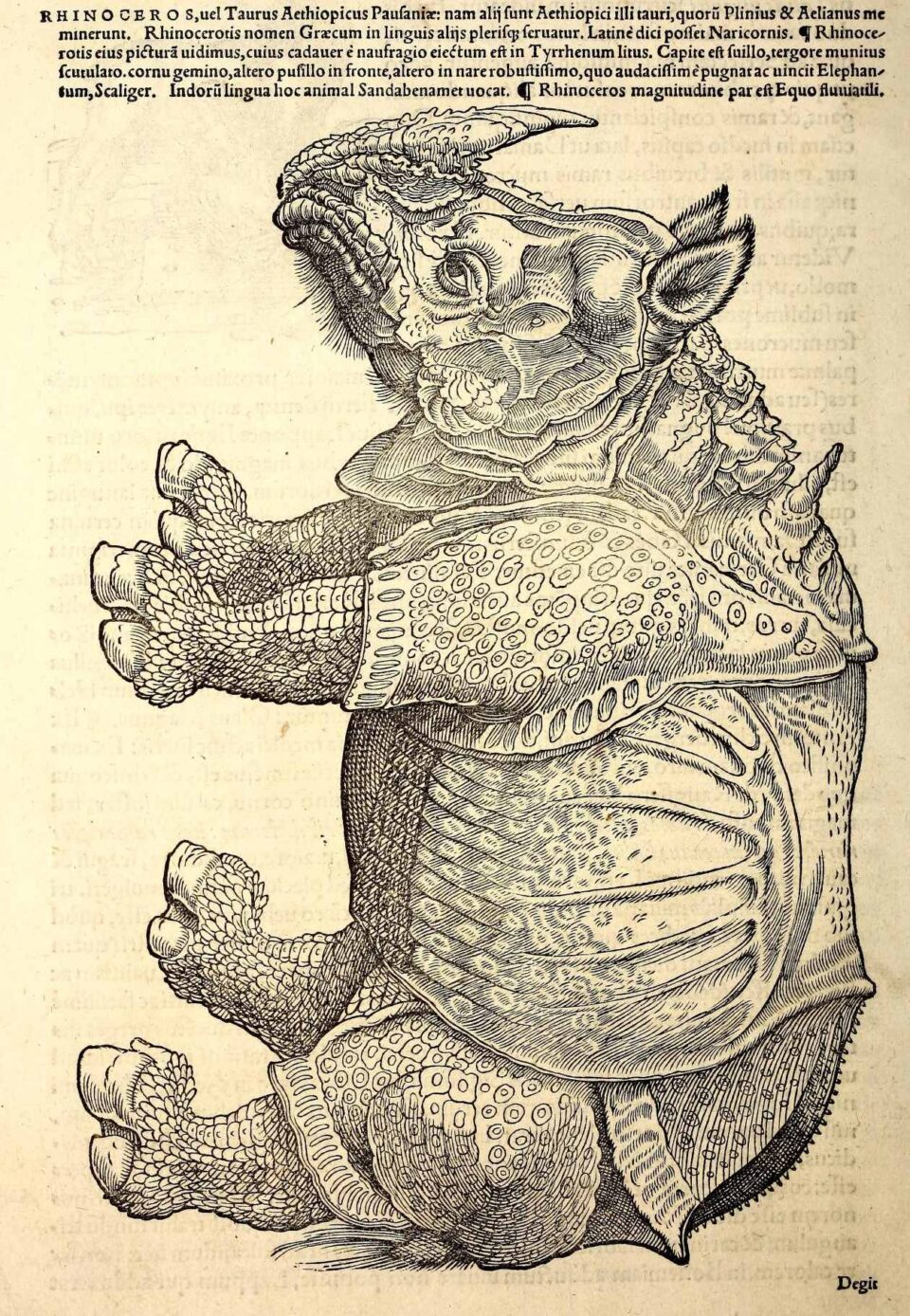 Gessner Icones (1560)