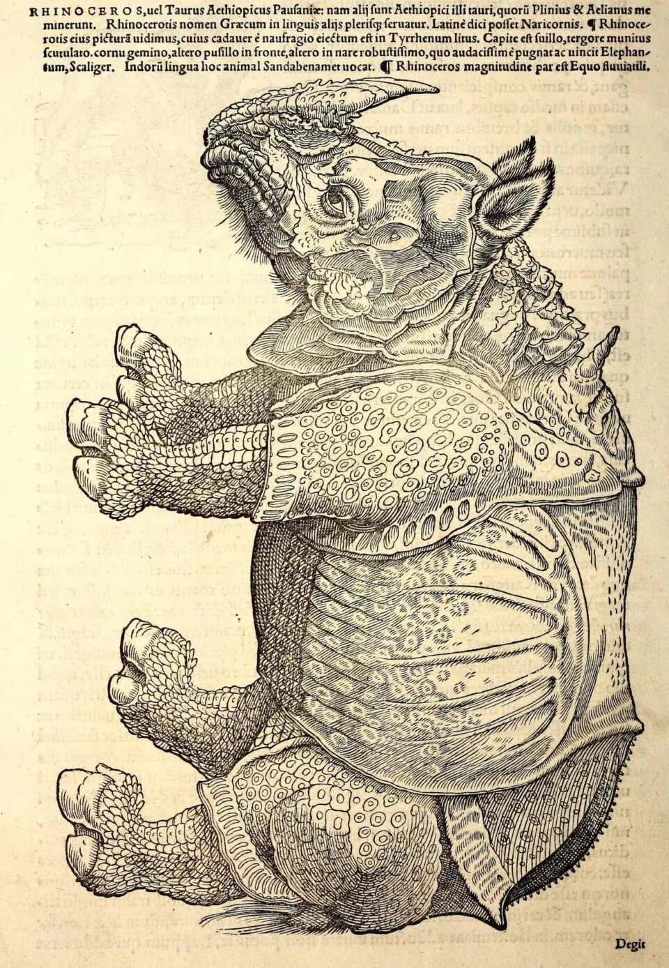 Gessner Icones (1560)