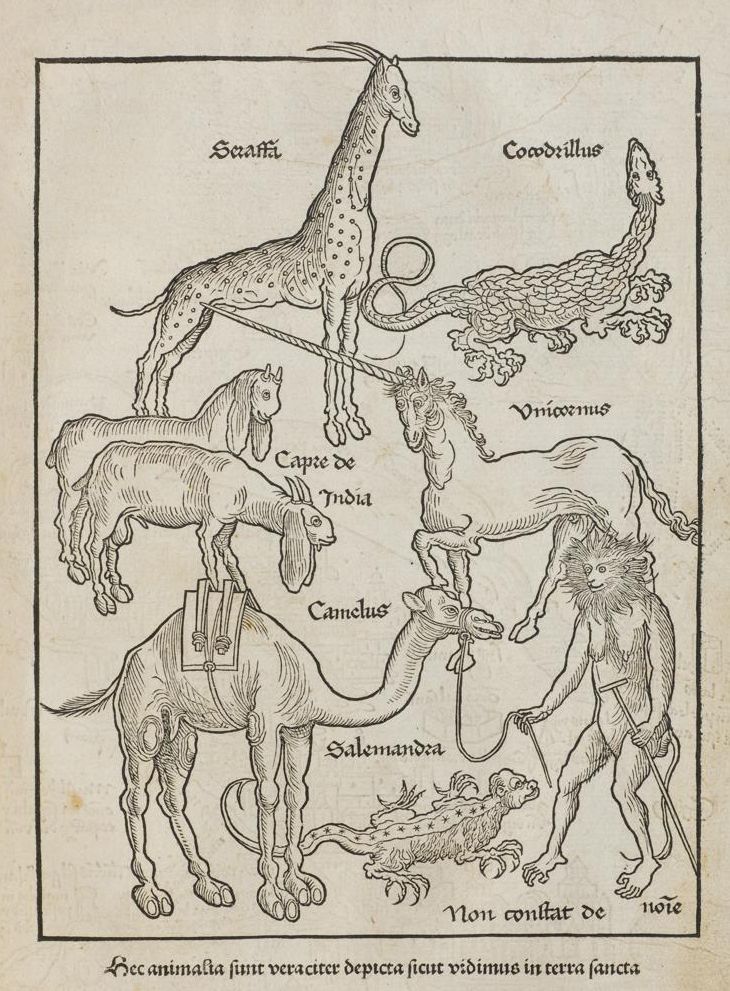 Breydenbach Unicornus